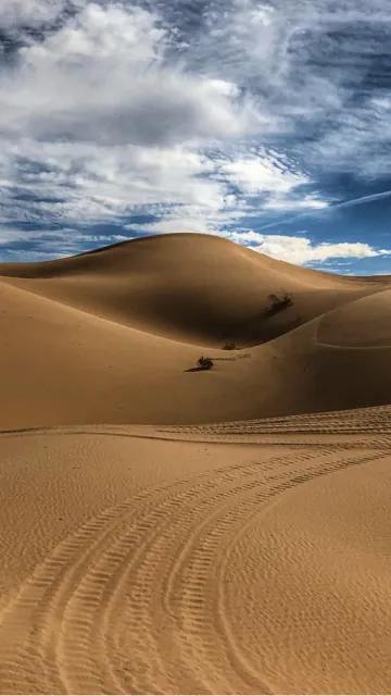 Dunes Photo